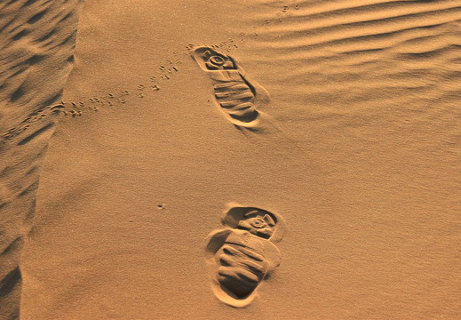 Different size footprints crossing in the sand