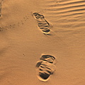 Different size footprints crossing in the sand