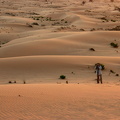 Velvet dunes 