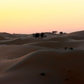 Velvet dunes