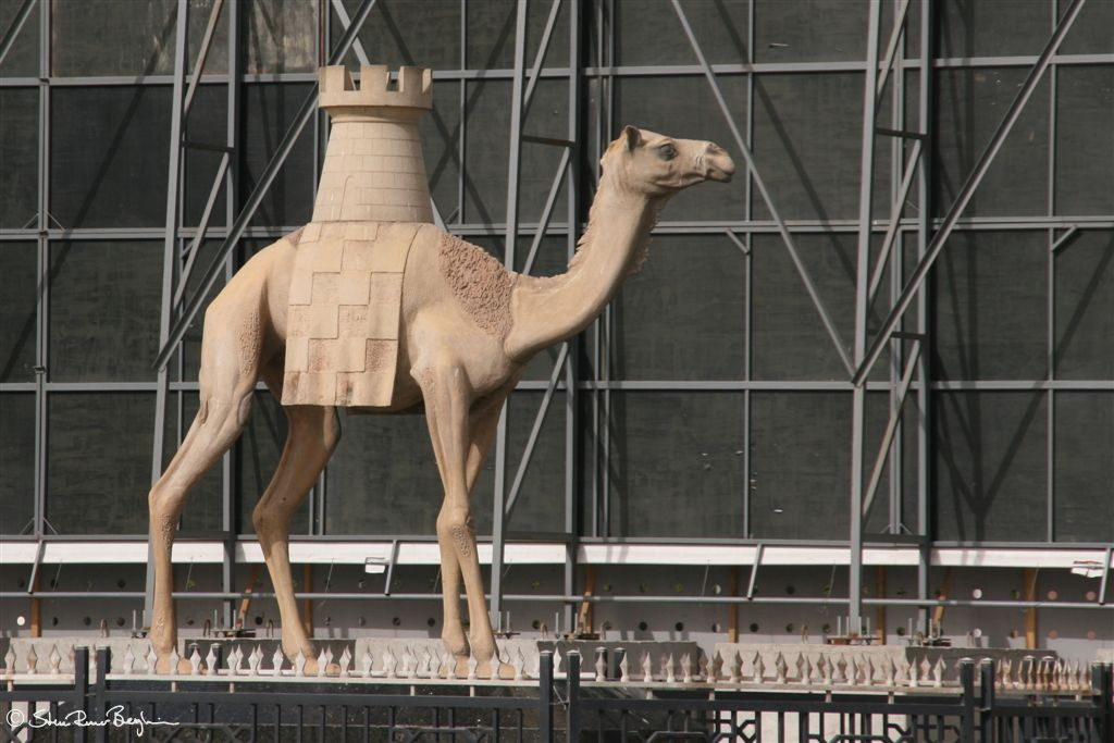 Camel in front of Dubai Municipality