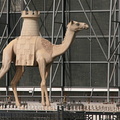 Camel in front of Dubai Municipality