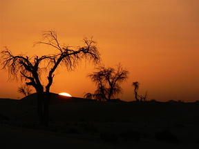 Sunset