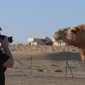 Nosy photographer