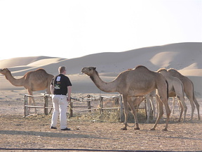 Man vs Camel