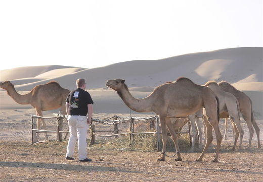 Man vs Camel