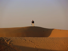 Big Norwegian on small sand dune