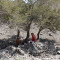 Tor Gunnar and myself having assumed lunch position in wadi