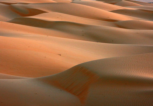 Sanddyner