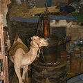 Camel mill in the basement of Sana'a old town building