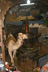 Camel mill in the basement of Sana'a old town building