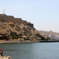 200807_3 - Muscat etc 058