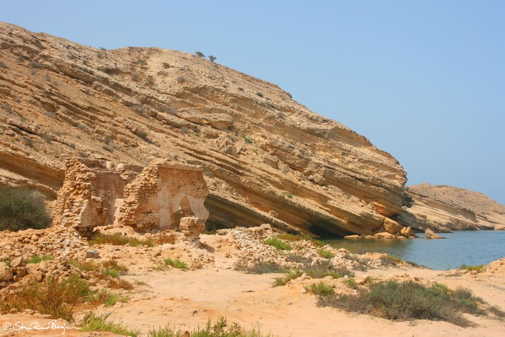200807_3 - Muscat etc 108