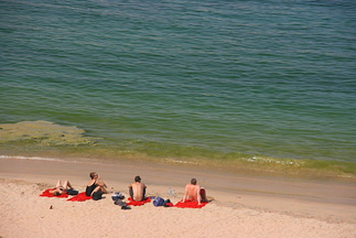 200807_3 - Muscat etc 155