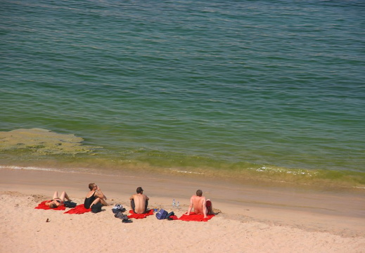 200807_3 - Muscat etc 155