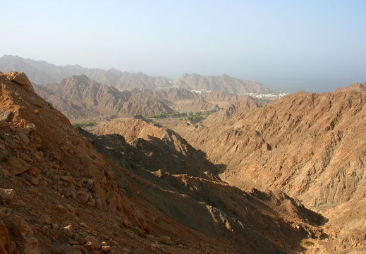 200807_3 - Muscat etc 169