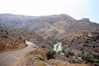 200807_3 - Muscat etc 204