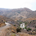 200807_3 - Muscat etc 204