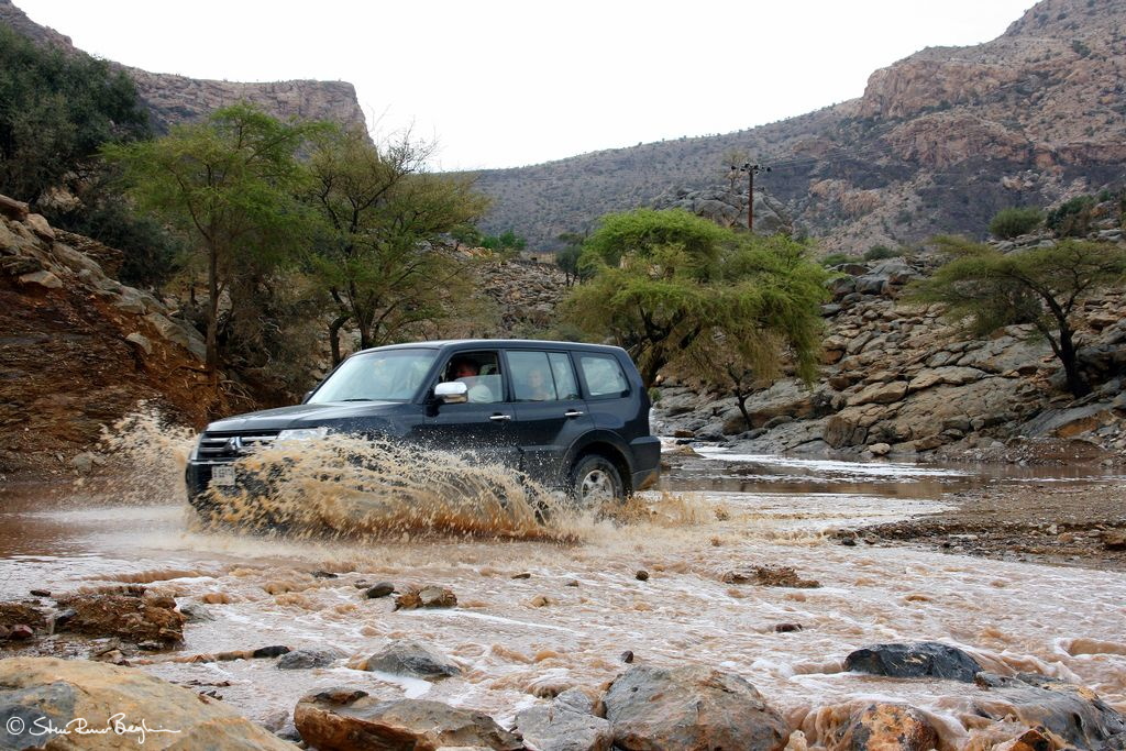 Wadi bashing