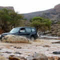 Wadi bashing