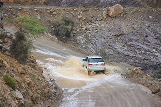 200807_3 - Muscat etc 206