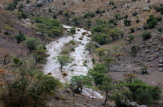 200807_3 - Muscat etc 211