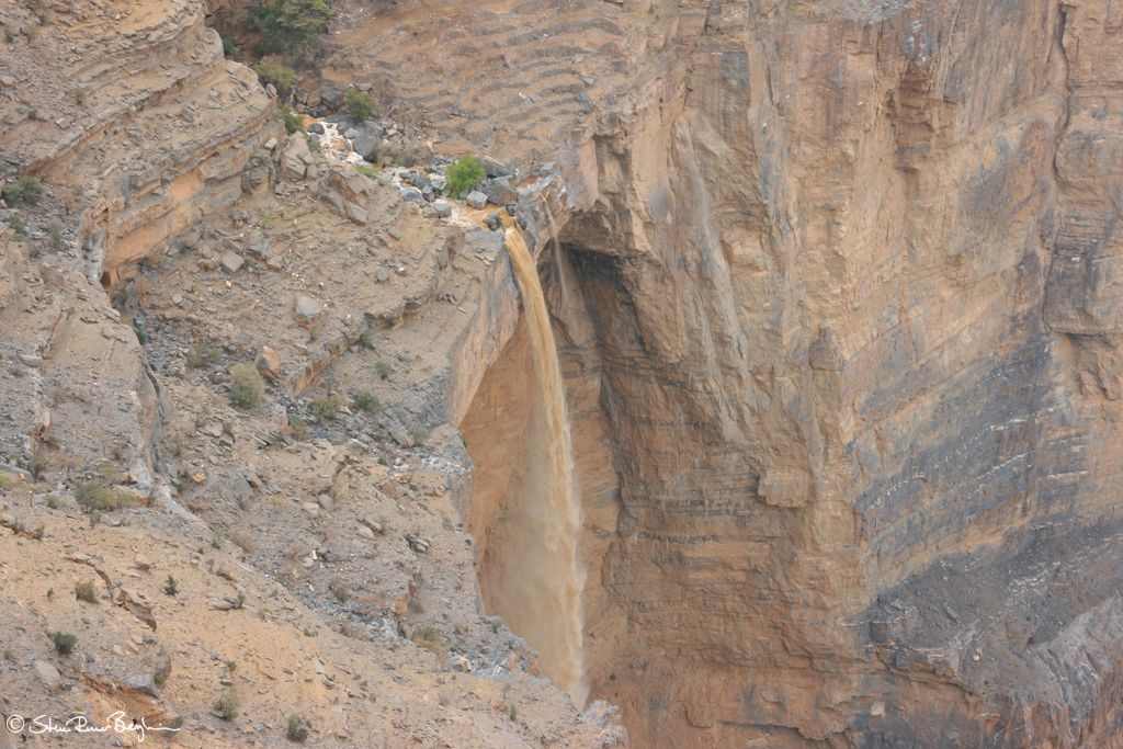200807_3 - Muscat etc 246