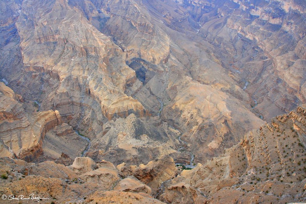 200807_3 - Muscat etc 275