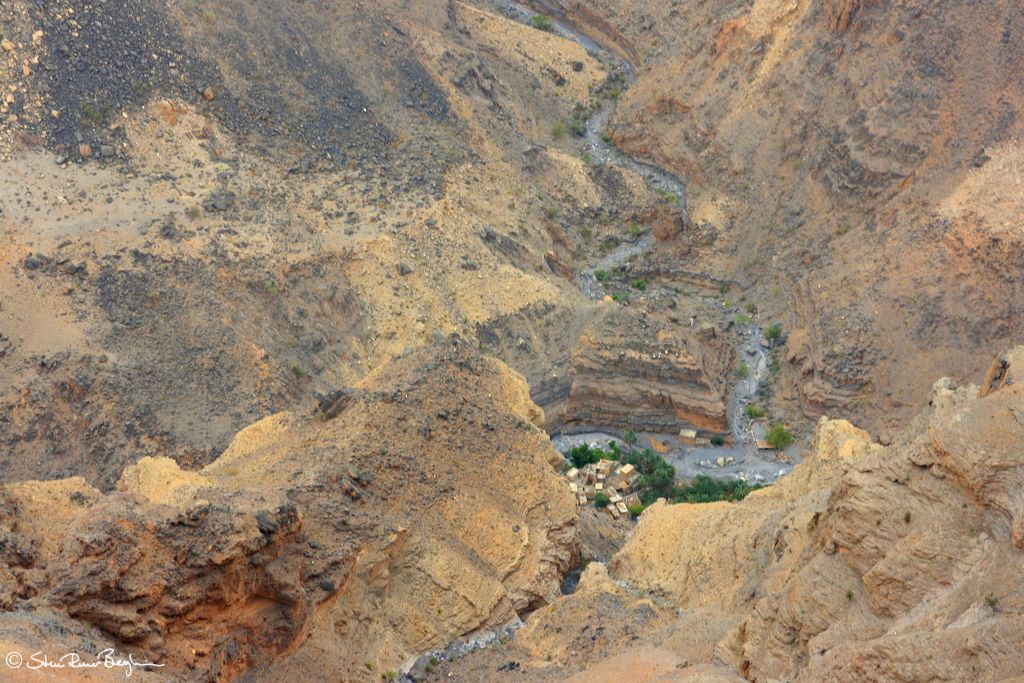 200807_3 - Muscat etc 278
