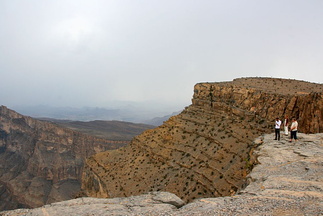 200807_3 - Muscat etc 286