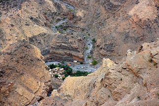 200807_3 - Muscat etc 293