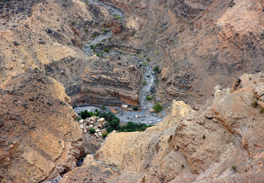 200807_3 - Muscat etc 293