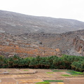 200807_3 - Muscat etc 316