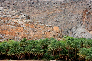 200807_3 - Muscat etc 318