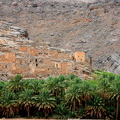 200807_3 - Muscat etc 318