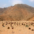 Islamic Graveyard, Daba al Hisn, Musandam Governorate, Oman