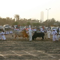 Separating angry bulls
