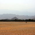 Dry wadi