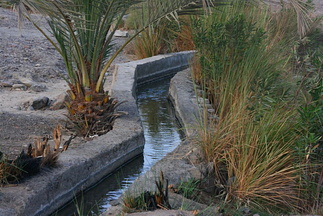 A falaj in the mountains of Fujairah