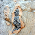 Rock embedded in rock embedded in...
