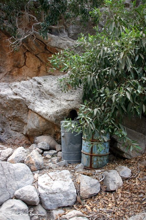 Water barrels for the dry season