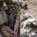 Detail of goat shed
