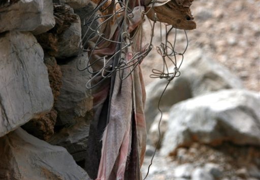 Detail of goat shed