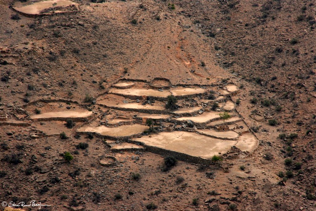 Old farm terraces in the mountains of Musandam