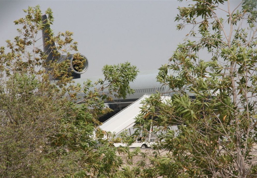 Plane in the backyard
