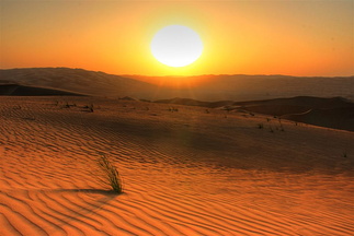 Straws in the desert at sunset