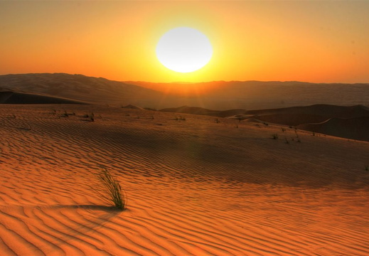 Straws in the desert at sunset
