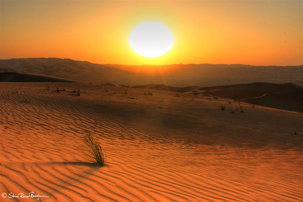 Straws in the desert at sunset