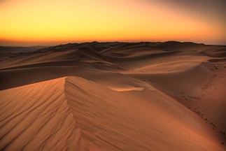 Golden dunes the next morning