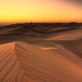Golden dunes the next morning